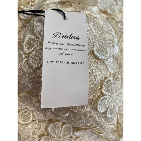 NWT * A-line Organza Mini Dress with Scoop Neck and Flowered Applique - Picture 8 of 9